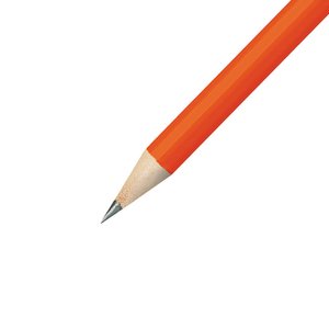 Bic Pencil - 24 hr 2 Bic Pencil - 24 hr