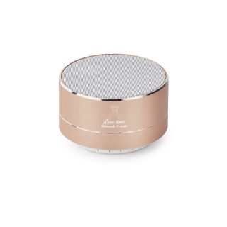 Metallic Wireless Speaker