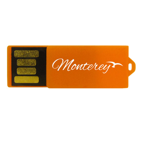 1GB Paperclip USB Flash Drive 4 1GB Paperclip USB Flash Drive