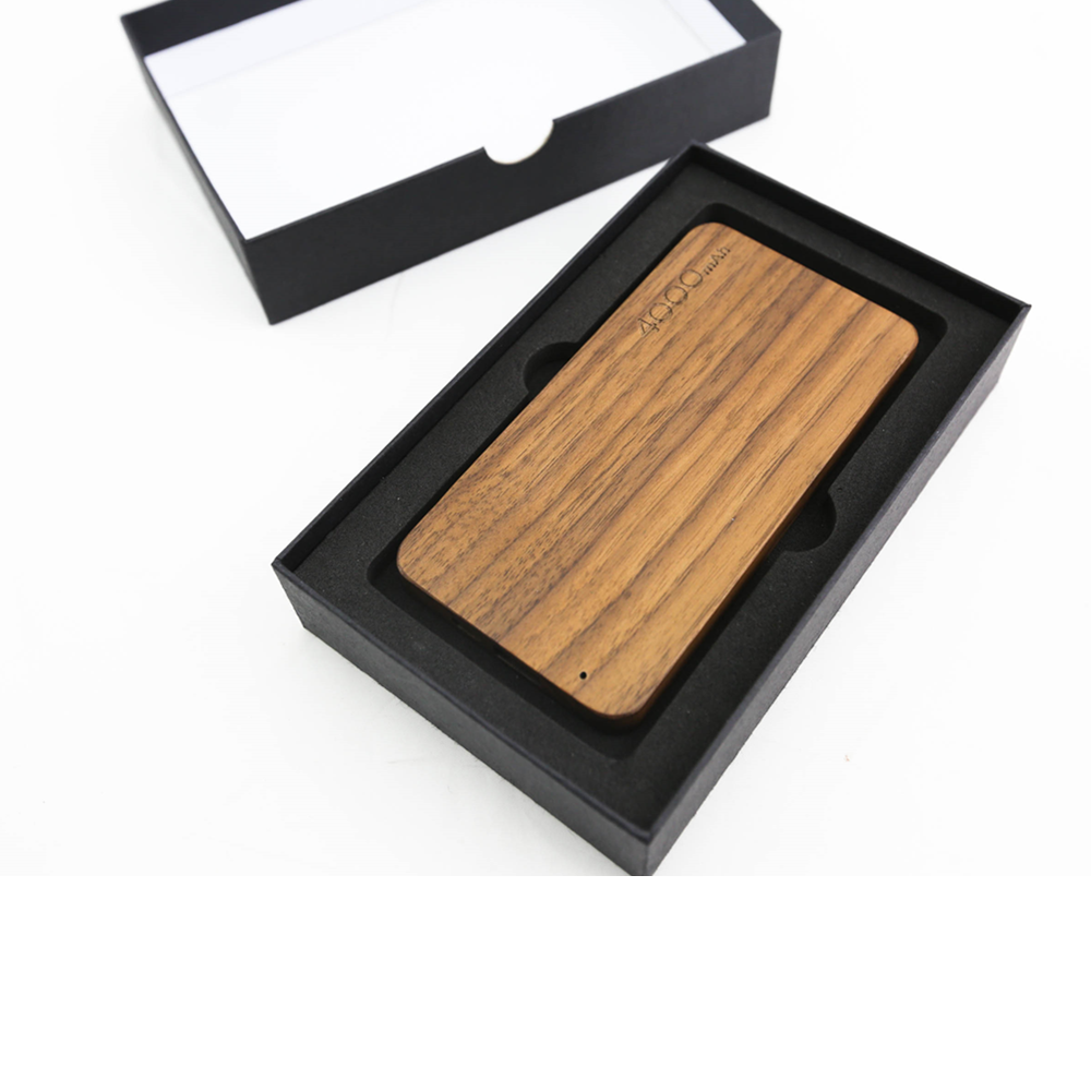 Power Bank 1 Power Bank