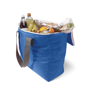 Large foldable cooler bag
