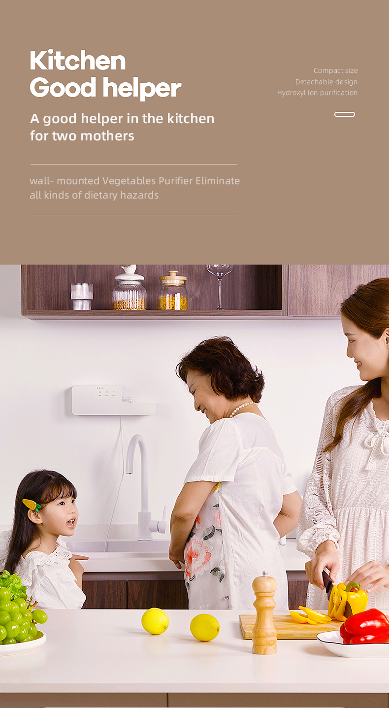 Wall-mounted Intelligent Food Purifier Automatic Fruit Vegetable Ion Purification Washing Machine