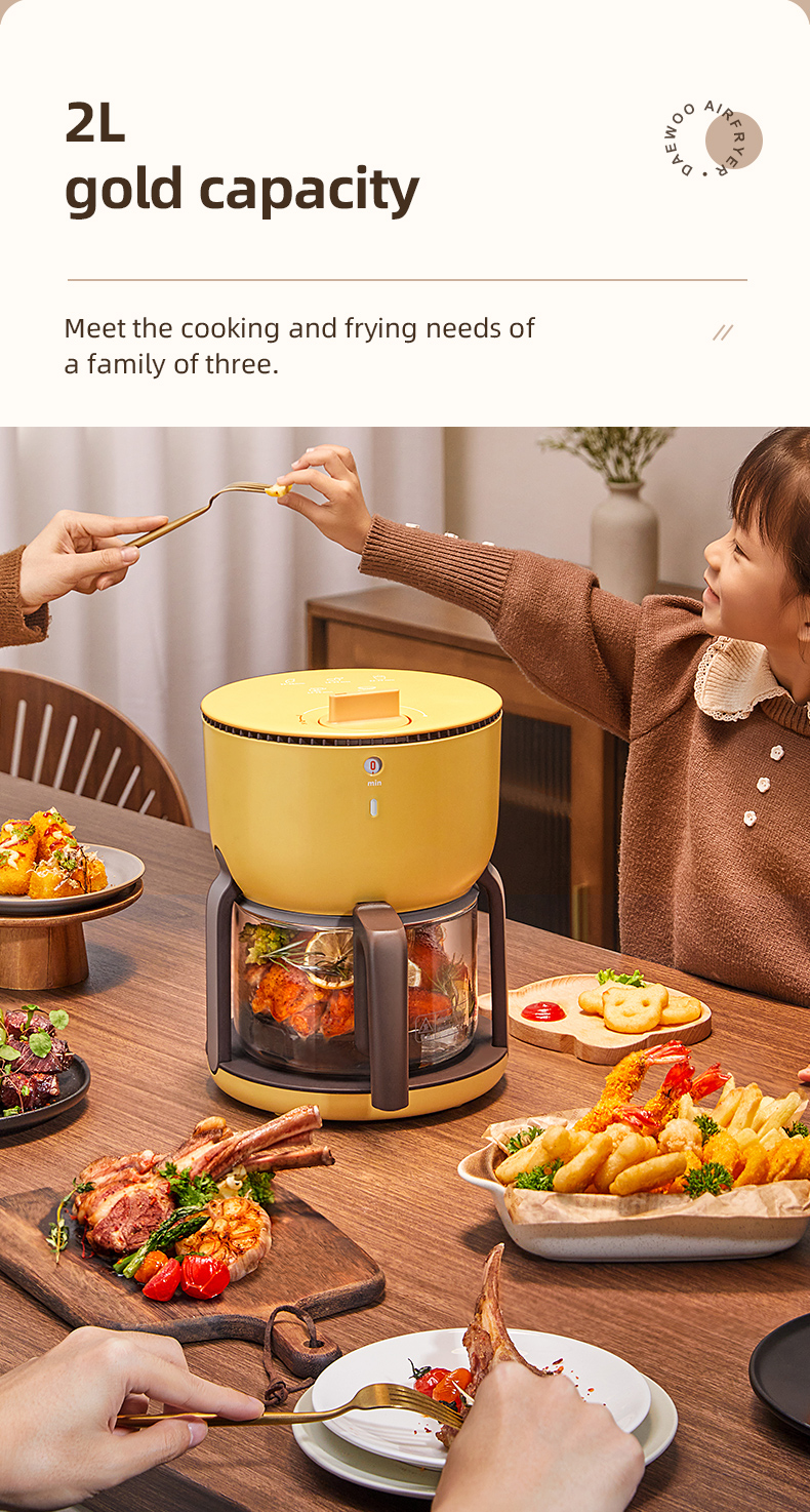 Oil Free Home Nonstick Electric Deep Fryer Air Fryer