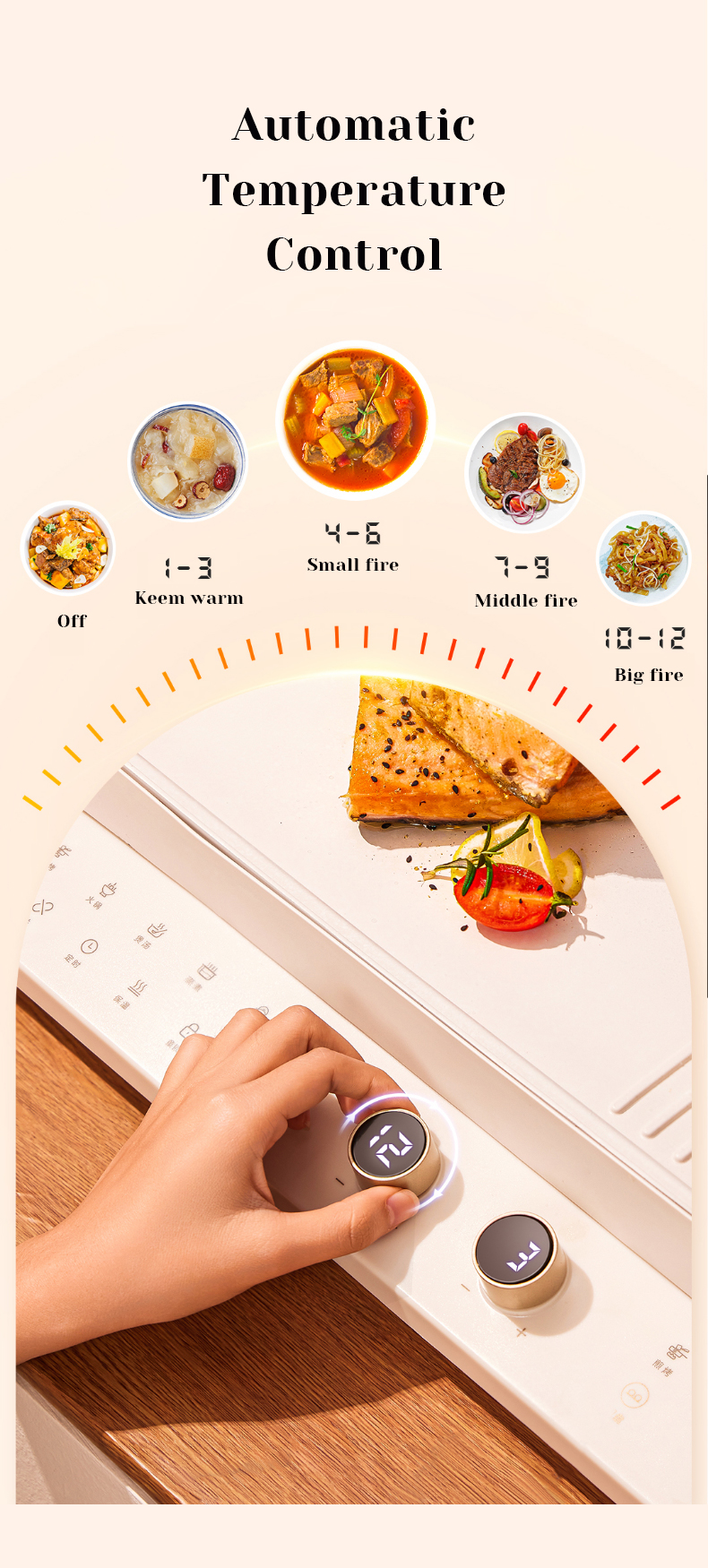 Multi-function Baking pan & electric stove 2 in 1 Multi-function Baking pan & electric stove 2 in 1