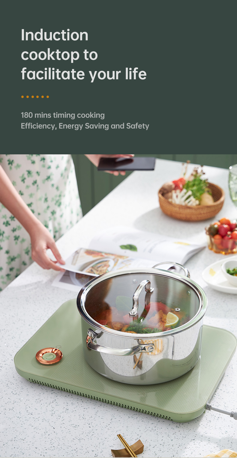 Burner Stove National Portable Cooking Appliances Induction Electrical Induction Stove New Design Touch Control Induction Cooker