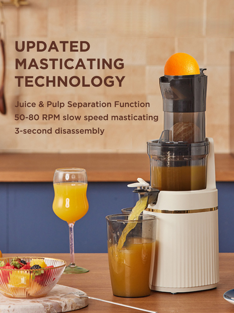 Large Feeding Tube slow masticating juicer