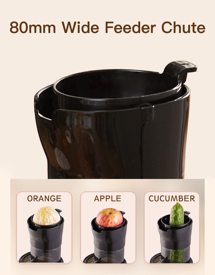 Large Feeding Tube slow masticating juicer