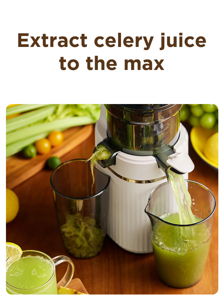 Large Feeding Tube slow masticating juicer