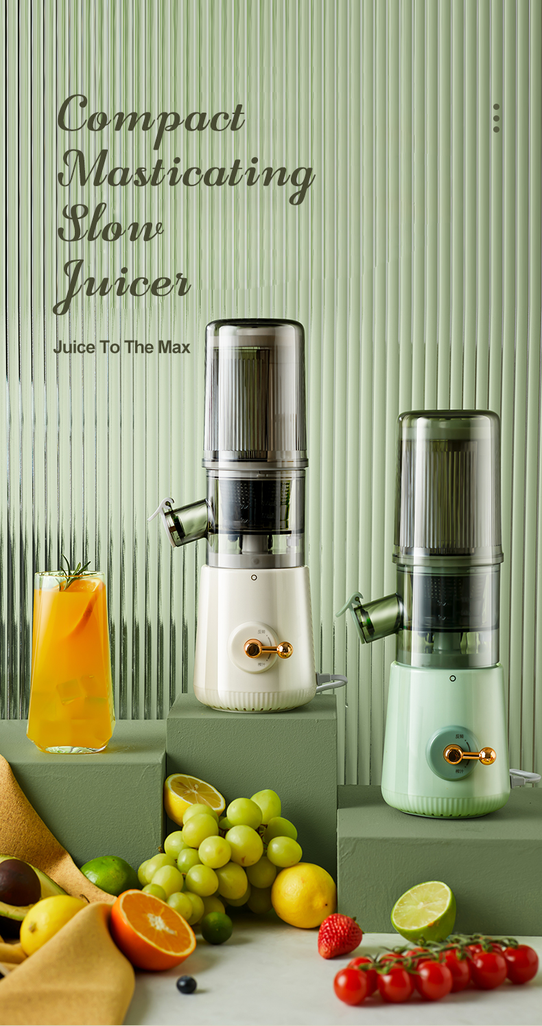 Wholesale Compact Masticating Slow Juicer