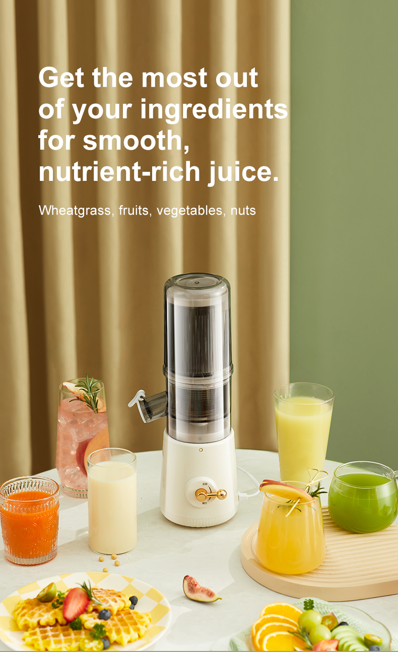 Wholesale Compact Masticating Slow Juicer