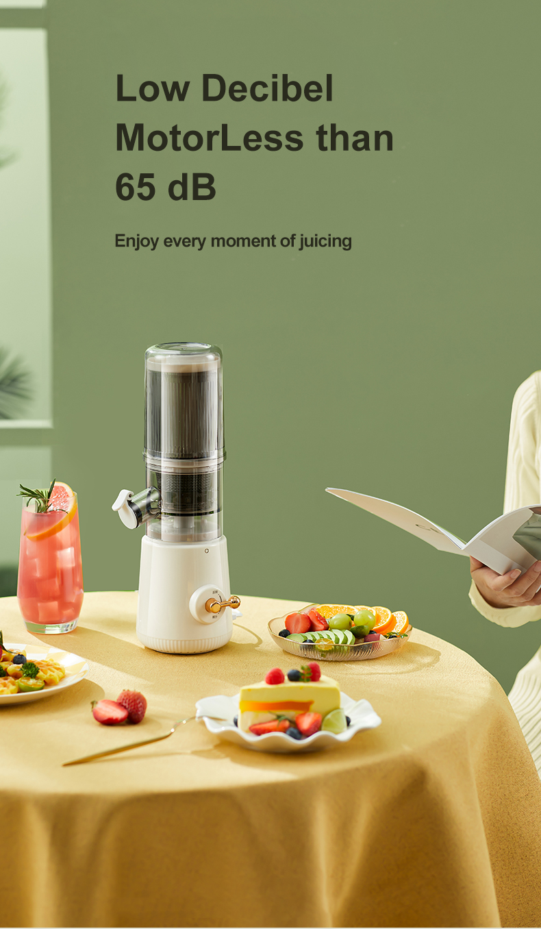 Wholesale Compact Masticating Slow Juicer