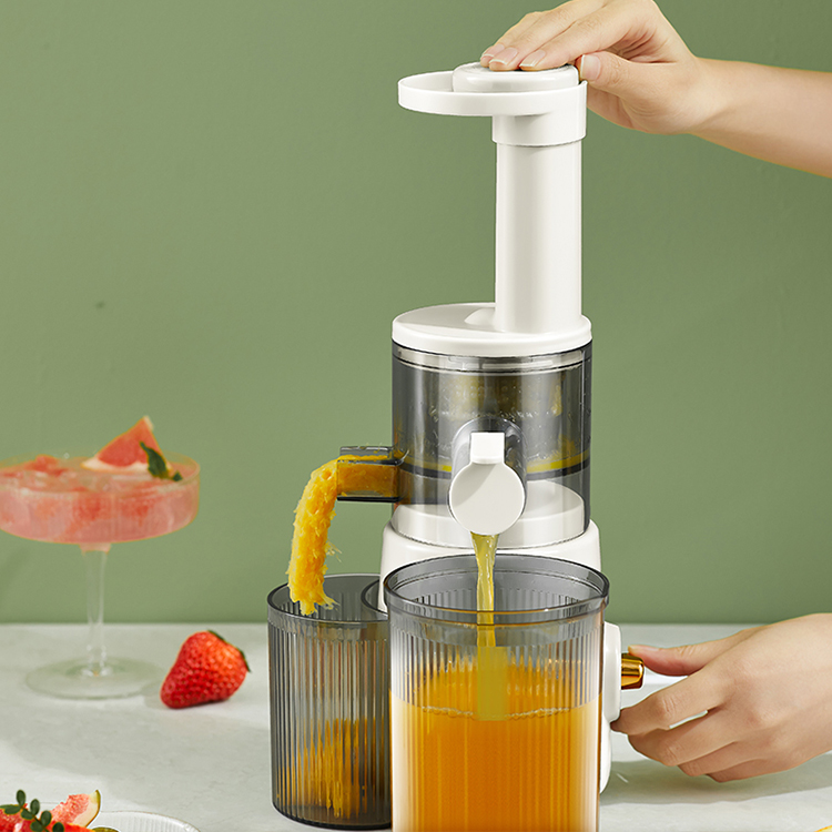 Wholesale Compact Masticating Slow Juicer 3 Wholesale Compact Masticating Slow Juicer