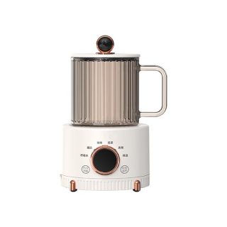 Electric Multi-Functional Health-Care Tea kettle Automatic Glass Teapot